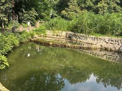 -成都市活水公园