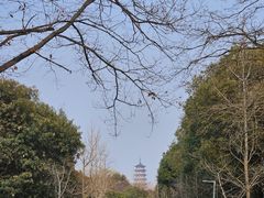 -蜀冈西峰生态公园