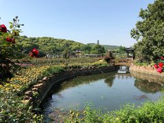 -龙寺生态园