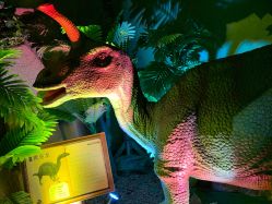 -恐龙探索乐园(磁器口店)