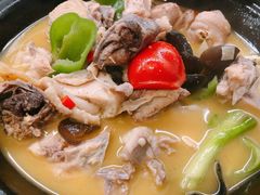 茶油焖土鸡-箸福·夜上海(雨花客厅店)