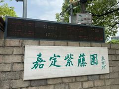 -嘉定紫藤园