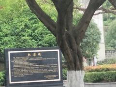-重庆歌乐山烈士陵园