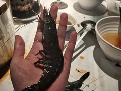 -领鲜活海鲜榴莲自助火锅(东门店)