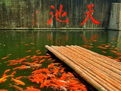 -千岛湖东南湖区