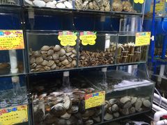 -蚝专家(北滘店)