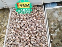 -青石桥市场北1-27号