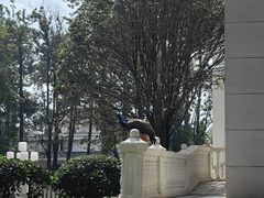 -西昌邛海宾馆
