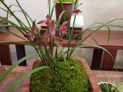 -金陵花卉交易市场
