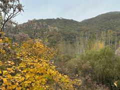 -天津盘山风景名胜区