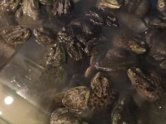 -秦记香辣蟹(松榆里店)