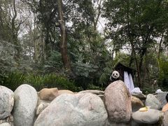 -青城道汤池