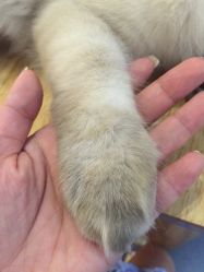 -隅日式美甲美睫專門店