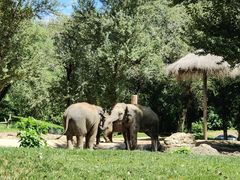 -北京野生动物园
