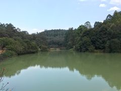 -南国桃园旅游度假区