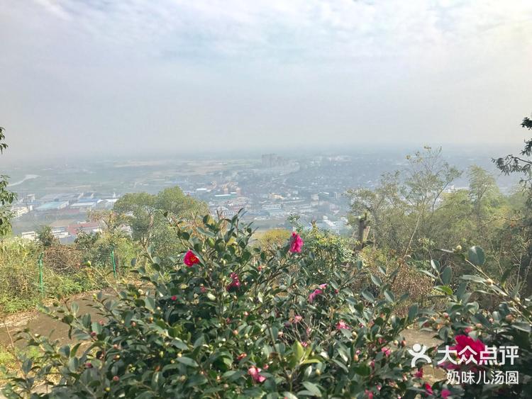 黑金山摄影教程笔记，技巧教学大全