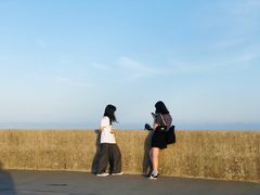 -南汇嘴观海公园