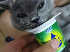 -美味居(古城店)