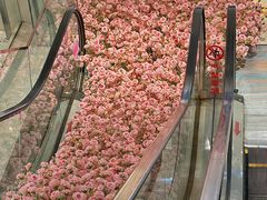 -洋洋广场(南街店)