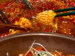 -棕榈泉国际高尔夫学院