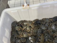 -物美大卖场(玉蜓桥店)