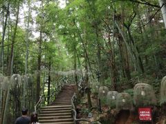 -石燕湖生态旅游景区