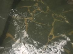 -龙达温泉生态城