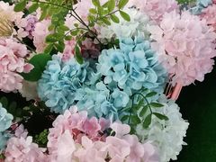 -HALO广场(梨园路店)