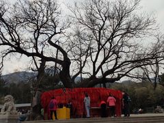 -八大处公园