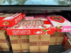 -西郊国际农产品交易中心