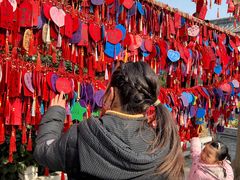 -祥源·阜阳生态乐园