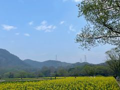 -八卦田遗址公园