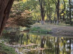 -长白岛森林公园