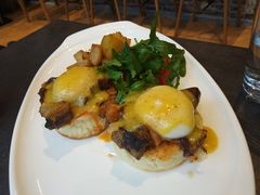 -Boxing Cat Brewery拳击猫精酿啤酒馆(永福店)