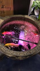 -木北造型