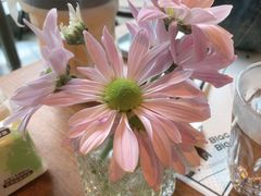 -Blac+Blac(中海环宇荟店)