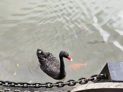 -呀诺达热带雨林