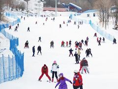 -亚布力新体委滑雪场