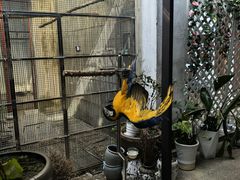 -观桥阁(锦溪店)