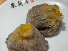 -朱新年·苏式汤团·面点(北寺塔店)
