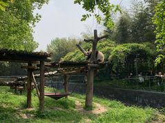 -宁波野生动物园