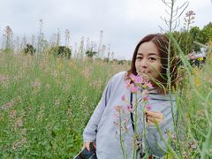 -洪湖家庭农场·团建·露营·会议