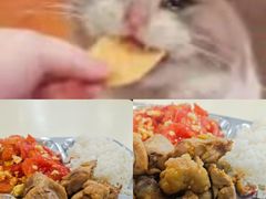 -山东大学(兴隆山校区)