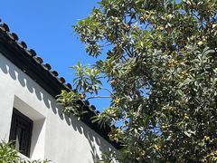 -南京民俗博物馆(甘熙故居)