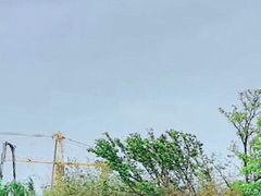 -上海崇明金茂凯悦酒店