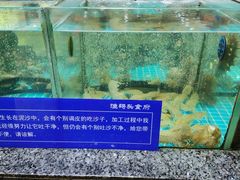-渔码头食府(蓬莱阁店)