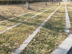 -兰州大学(榆中校区)