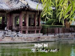 -团结湖公园