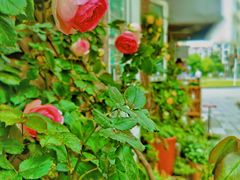 -瑞幸咖啡(新世界中心店)