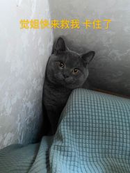 -壹定制珠宝(五一广场店)